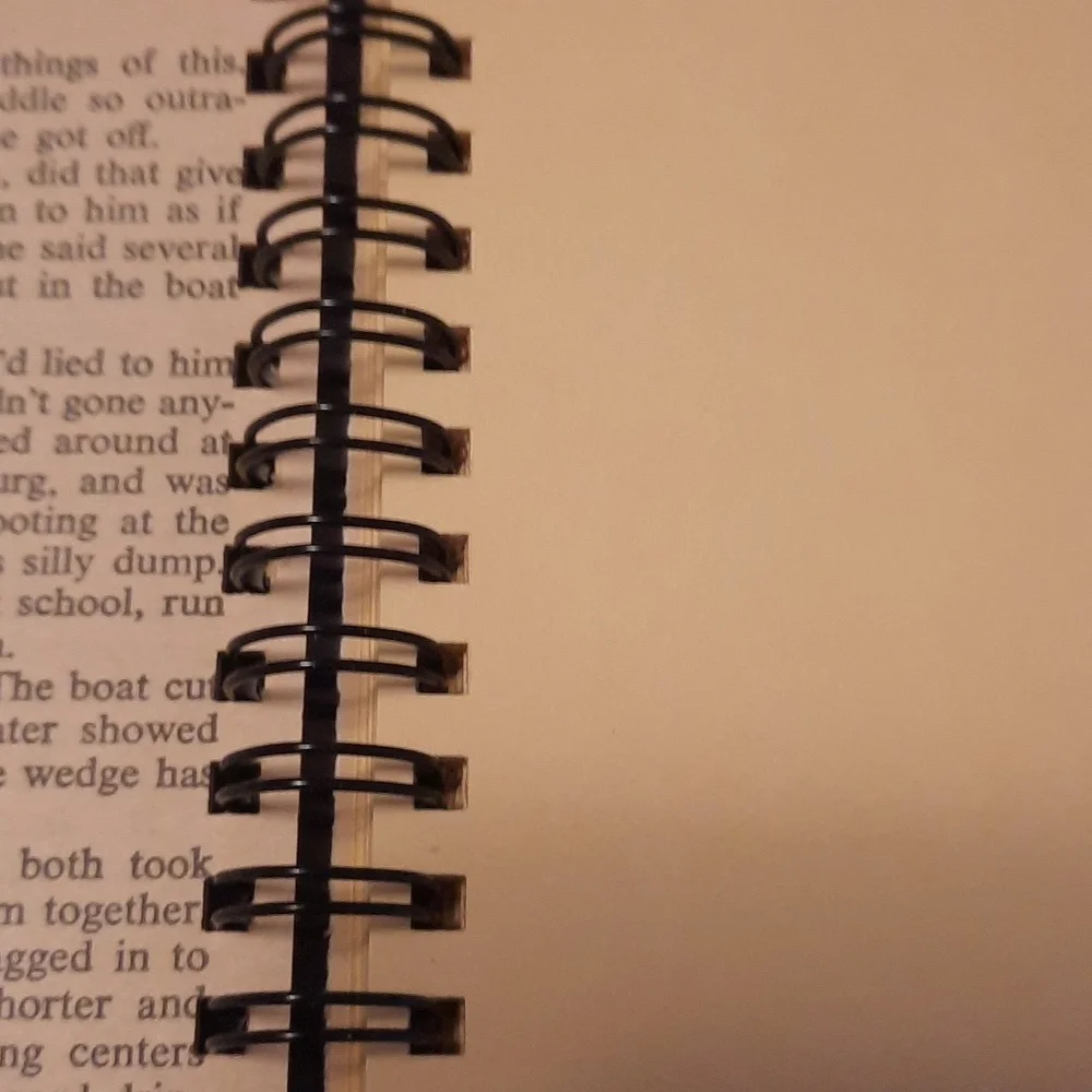 Secret Journal "Doctor Zhivago" - Picture 3 of 6